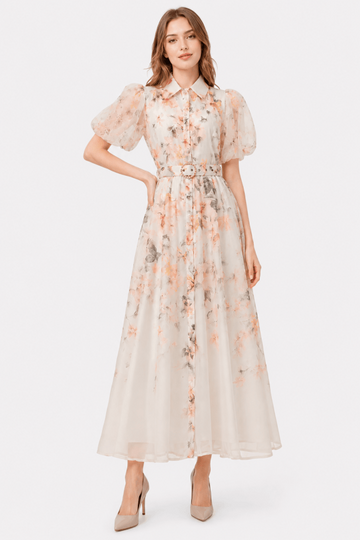 Watercolor Floral & Butterfly Print Turn Down Collar Maxi Dress